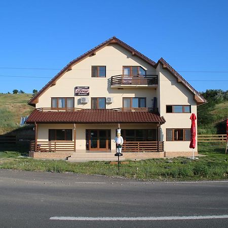 Pensiunea Fery Slobozia-Oancea Bagian luar foto