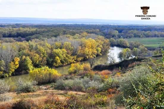 Pensiunea Fery Slobozia-Oancea Bagian luar foto