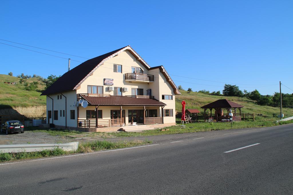 Pensiunea Fery Slobozia-Oancea Bagian luar foto