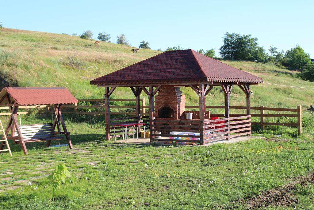 Pensiunea Fery Slobozia-Oancea Bagian luar foto